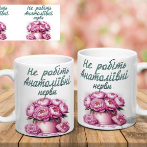 Чашка не робіть Анатоліївні нерви коробка квітів